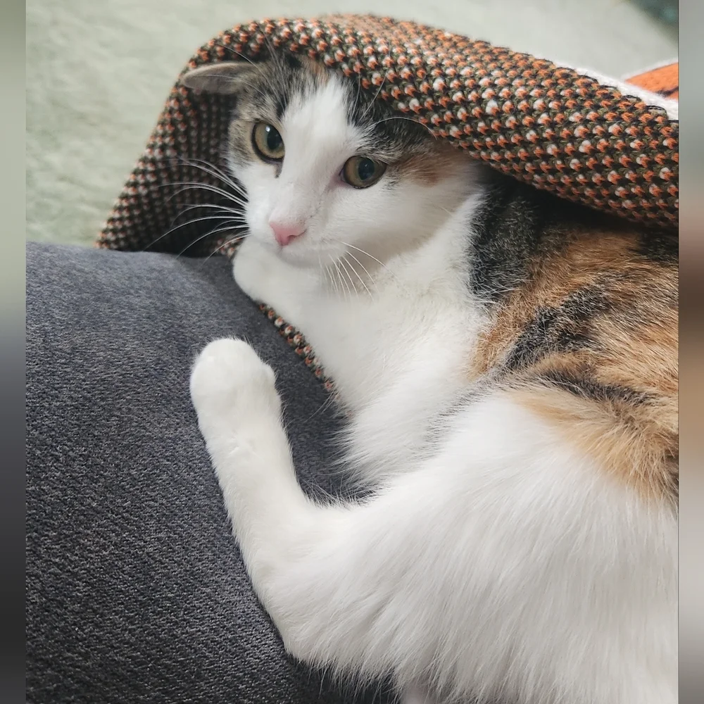 I'm LIVE!!! - Picture 4 of 8